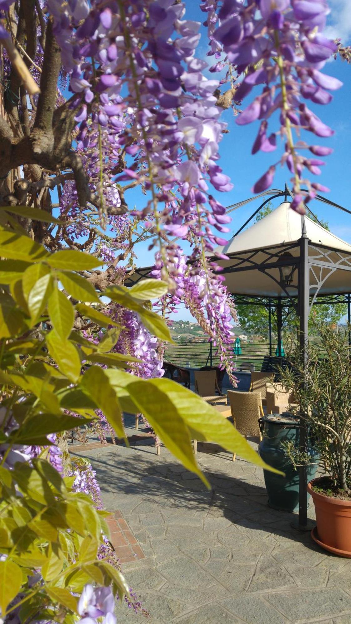 Locanda Del Boscogrande Montegrosso d'Asti Bagian luar foto