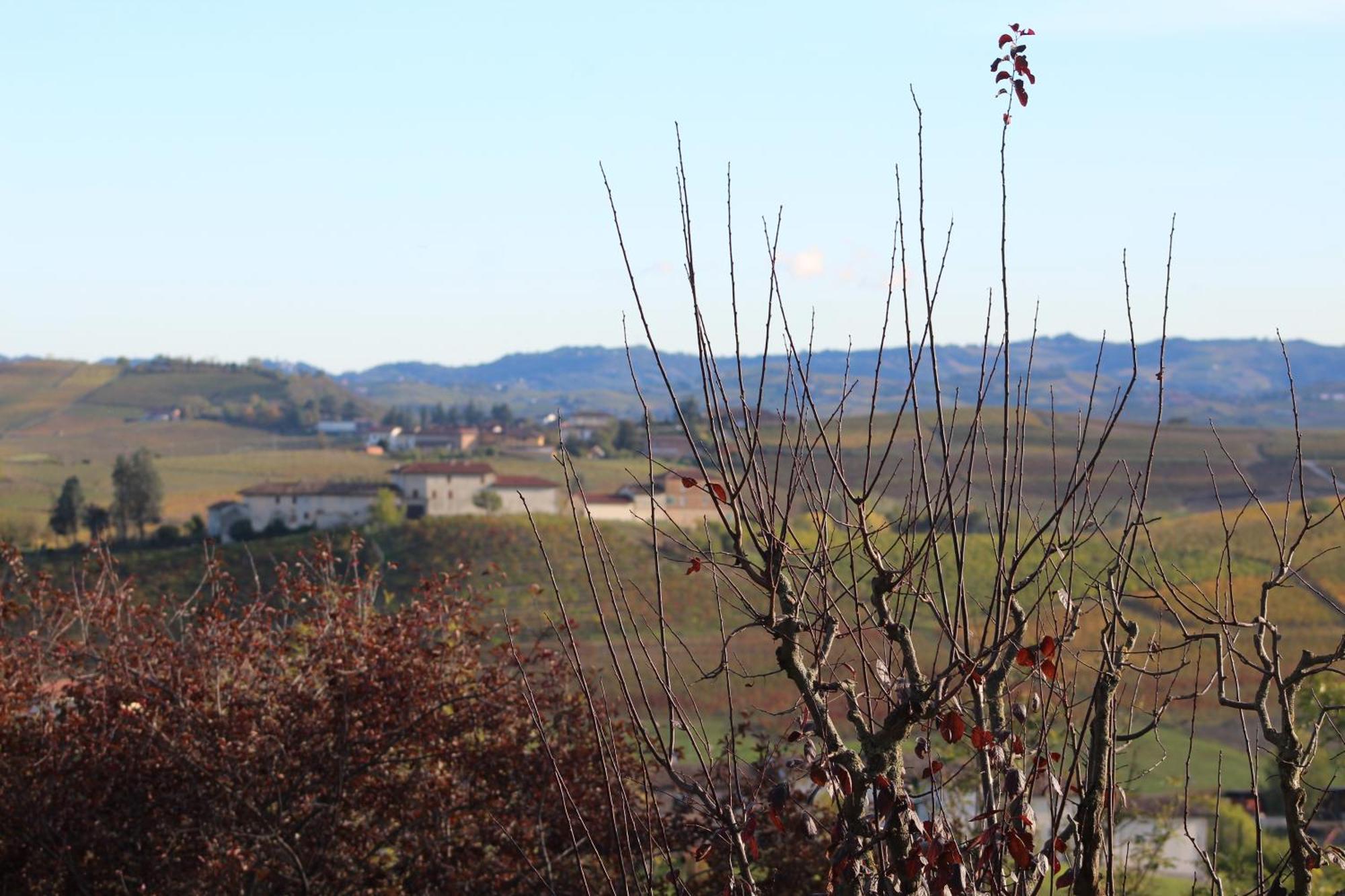 Locanda Del Boscogrande Montegrosso d'Asti Bagian luar foto