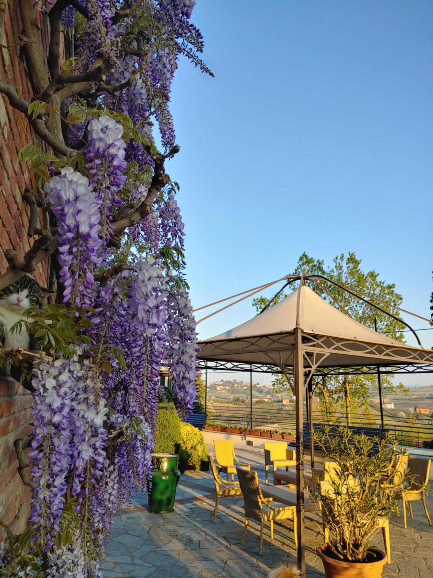 Locanda Del Boscogrande Montegrosso d'Asti Ruang foto